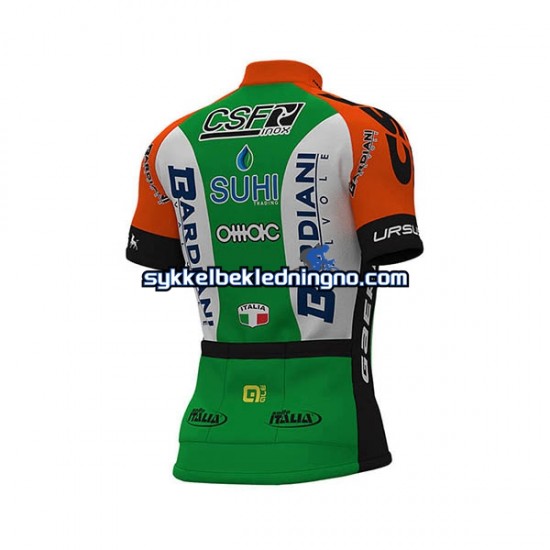 Herre 2019 Bardiani–CSF sykkeldrakt Kortermet N001