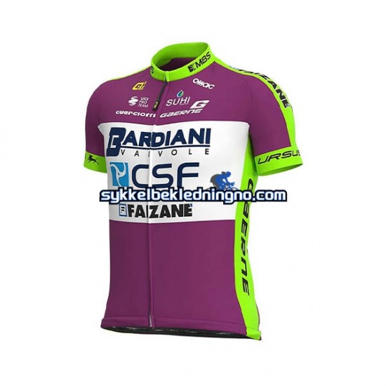 Herre 2020 Bardiani–CSF sykkeldrakt Kortermet N001