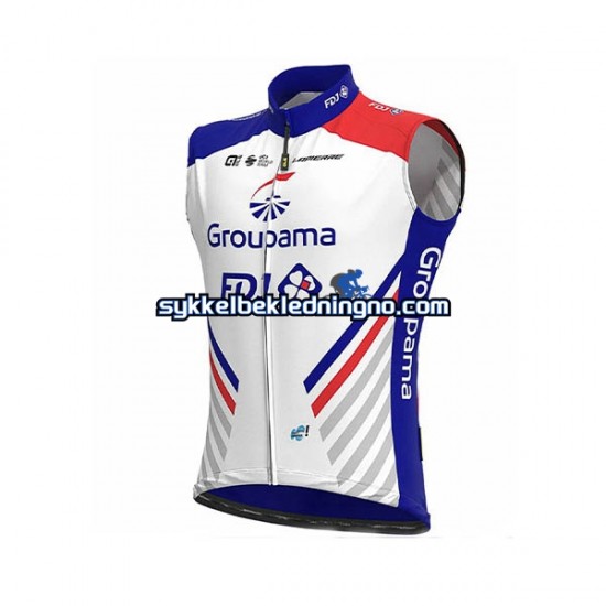 Herre 2020 Groupama–FDJ Sykkelvest N001