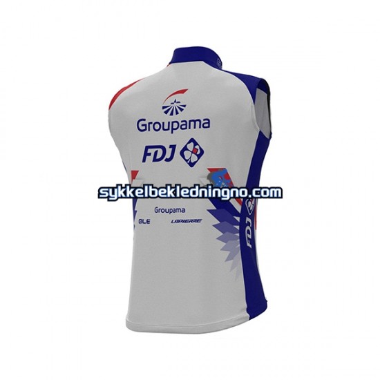 Herre 2021 Groupama-FDJ Sykkelvest N001