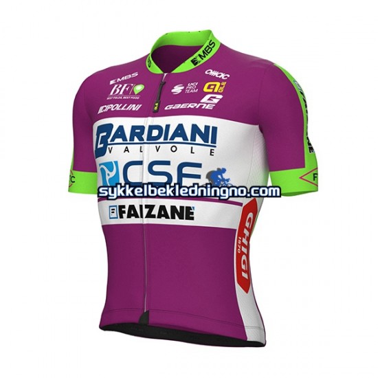 Herre 2022 Bardiani-CSF sykkeldrakt Kortermet N001